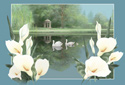 Swan Lake (New Baby version) animated Flash ecard