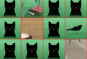 Cat Pelmanism animated Flash ecard