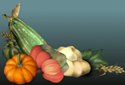 Harvest Mouse animated Flash ecard