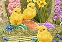 A Splash of Spring