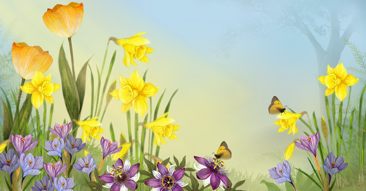 Something Good in Every Day Jacquie Lawson Cards