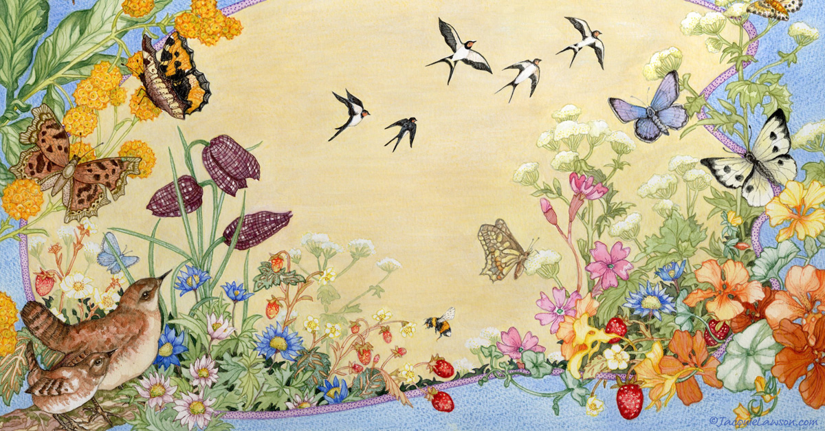 Watercolour Wonders Jacquie Lawson Cards